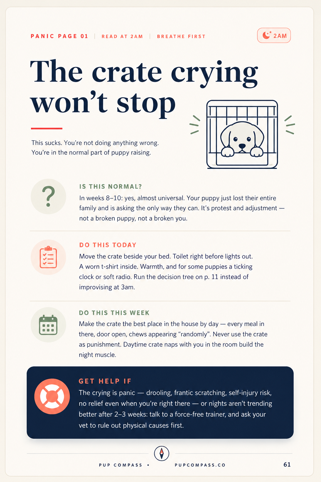 The First-Year Puppy System